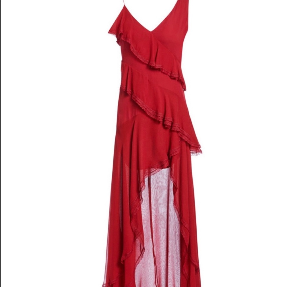 COPY - Gorgeous flowing Alice & Olivia nwt, small holes in bodice